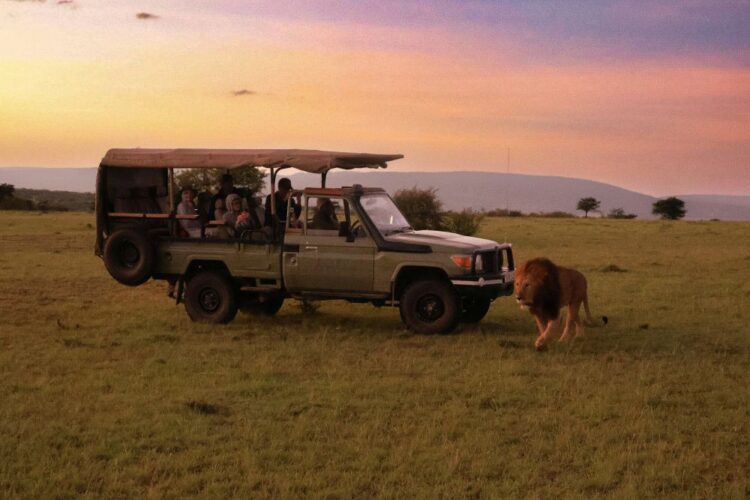Luxury travel agency Miami safari experience with expert guide