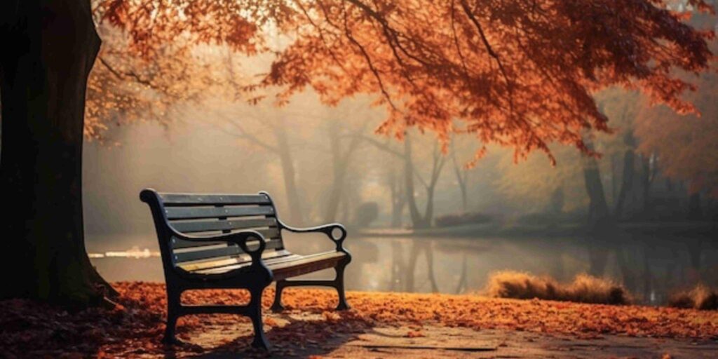 Fall Season in Usa