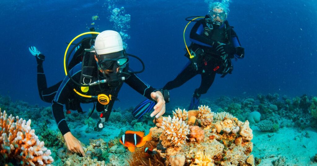 Snorkeling & Diving