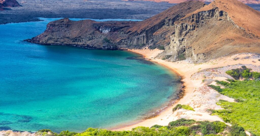 The Galápagos Islands
