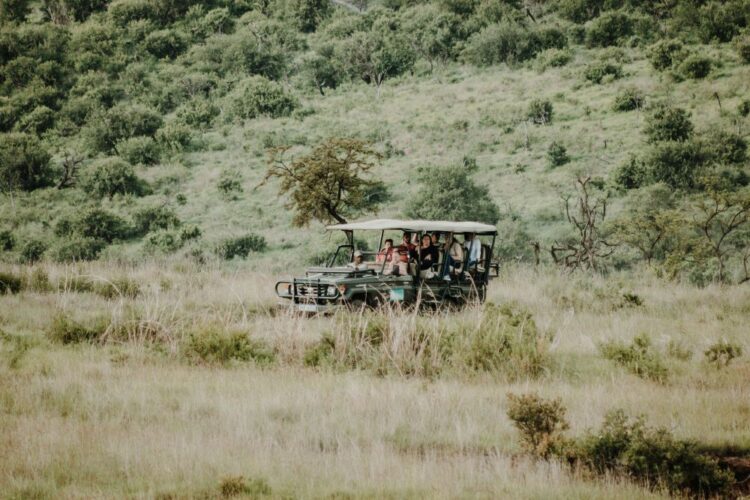 Private safari experience for multi-generational families