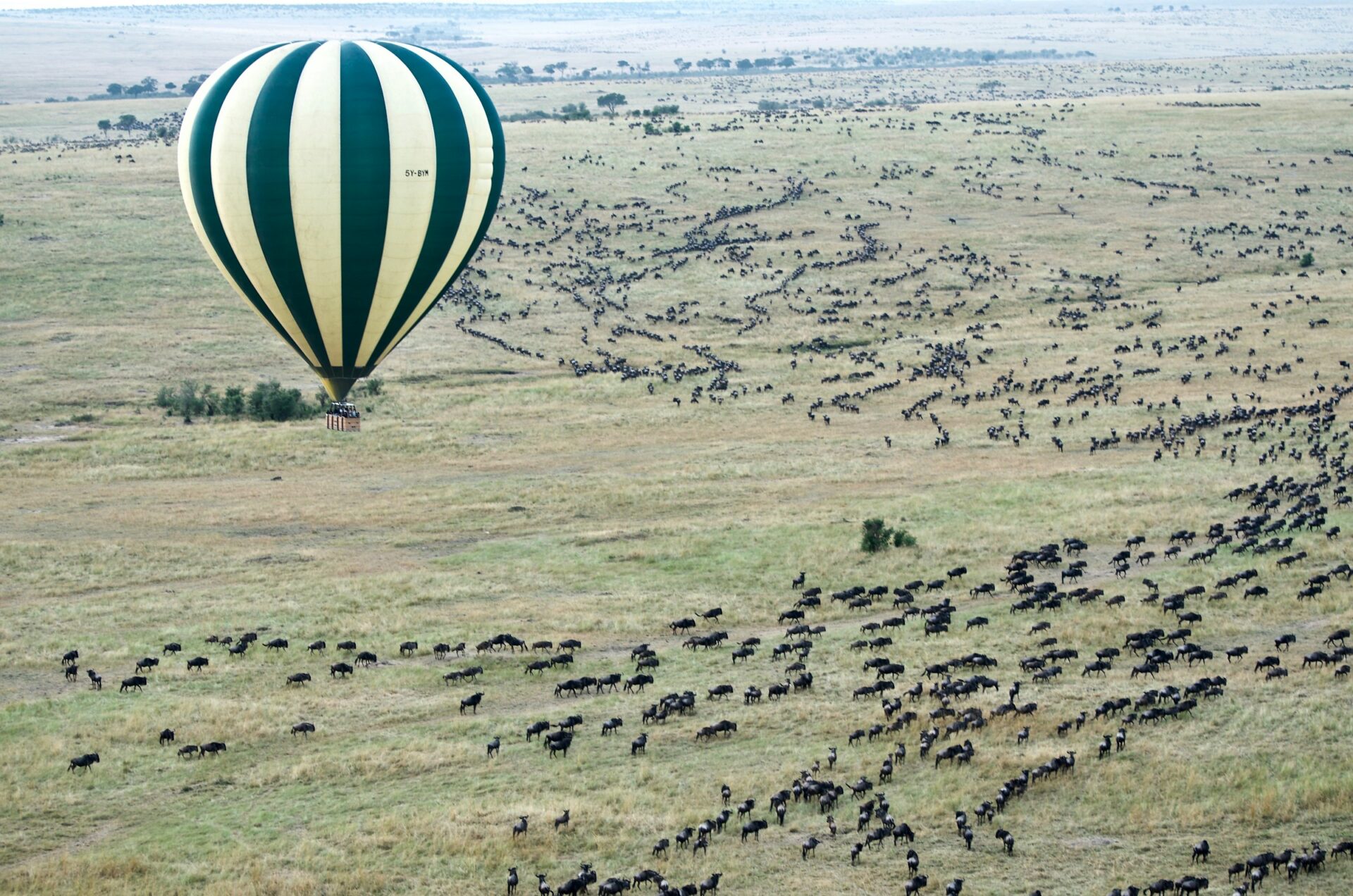 Hot air balloon safari over Kenya in June