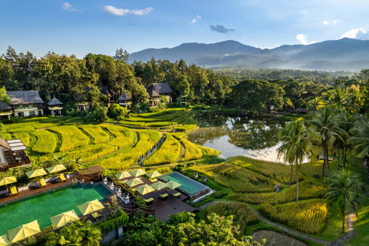 Luxury resort in northern Thailand surrounded by rice fields and mountain views