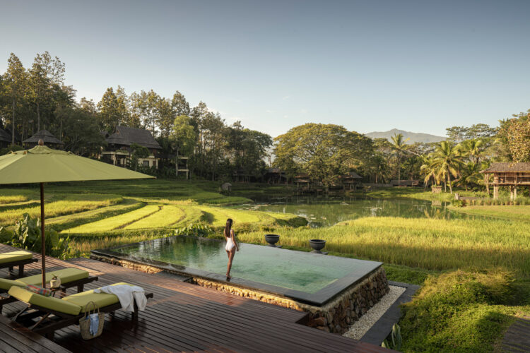 Infinity pool at a luxury resort in Thailand overlooking rice paddies and serene landscape