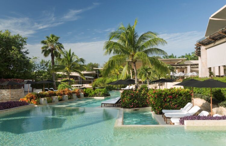 Tropical poolside setting with palm trees, loungers, and lush gardens