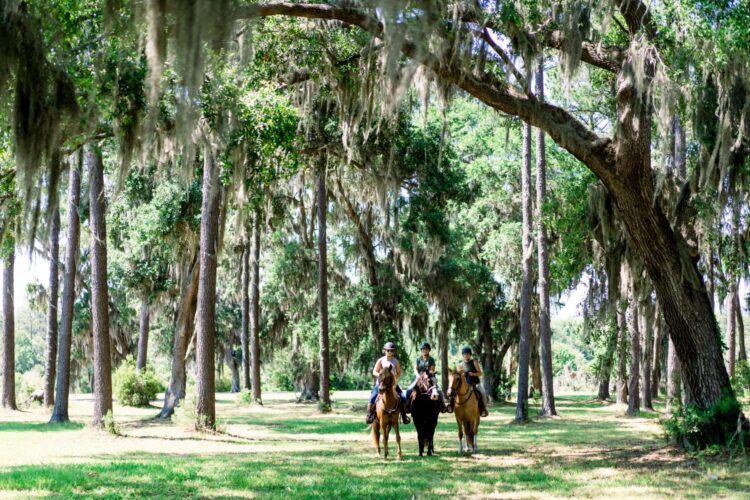 Family horseback riding through a moss-draped forest at Montage Palmetto Bluff.