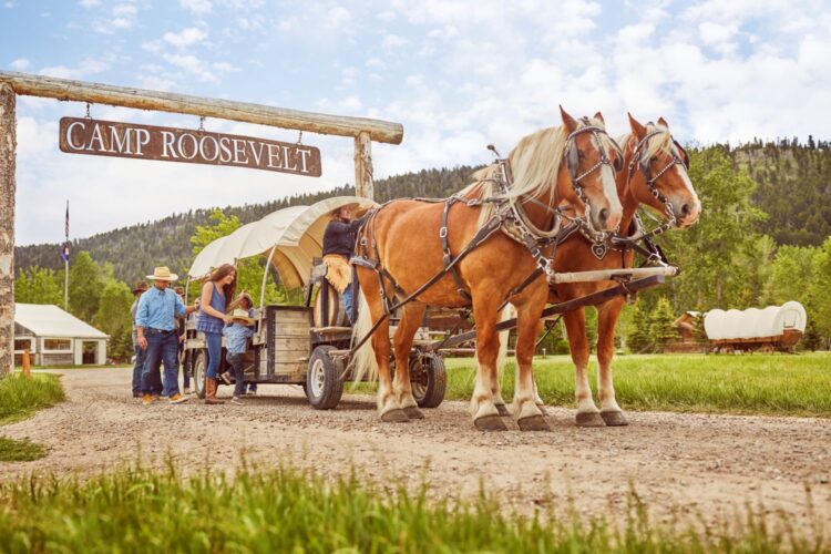 Horse-drawn wagon at Camp Roosevelt The Ranch at Rock Creek Montana 