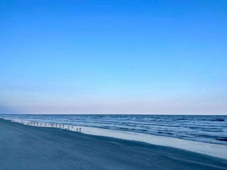 Kiawah Island South Carolina pristine Atlantic beach with shorebirds — luxury family beach vacation on the Carolina coast