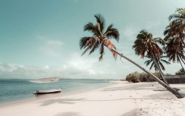 Traditional dhow boat and leaning palm trees on a pristine beach in Mozambique, perfect for a post-safari luxury escape