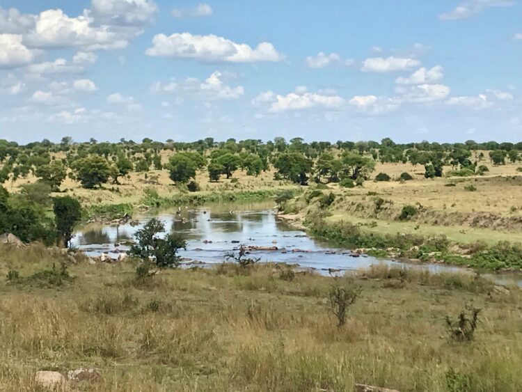 Scenic river winding through grassy plains and scattered trees under a blue sky