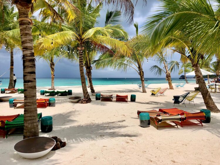 Colorful beach loungers and palm trees on a luxury escape in Zanzibar, ideal for post-safari relaxation