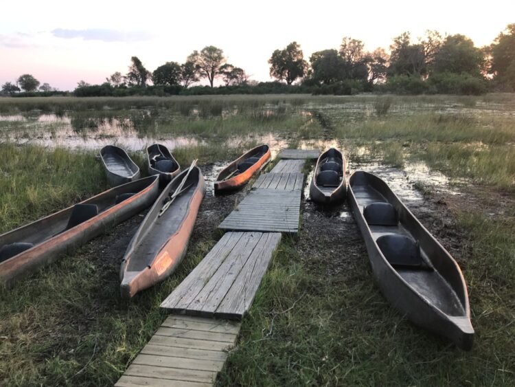 Traditional mokoro canoes on a luxury safari in the Okavango Delta, Botswana