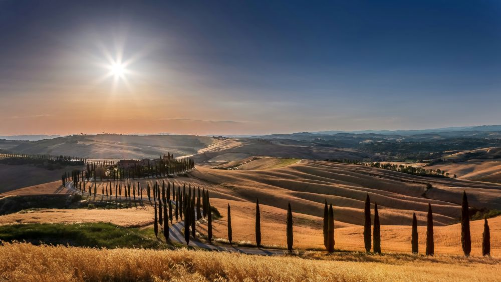 Tuscany harvest season vineyards September Italy luxury travel