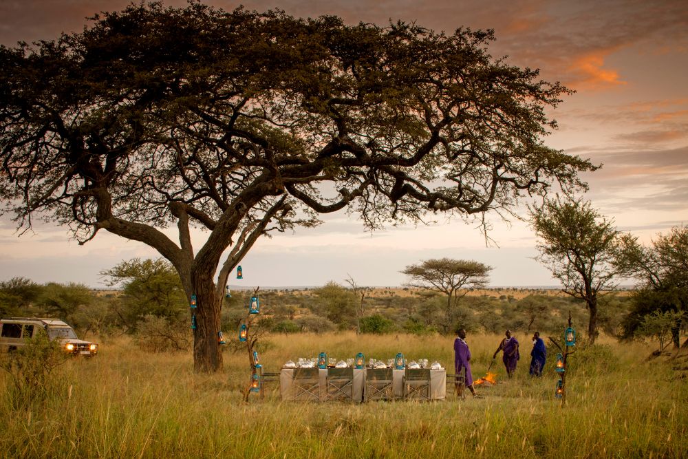 Luxury safari experience in the Serengeti in July with private outdoor dining under an acacia tree