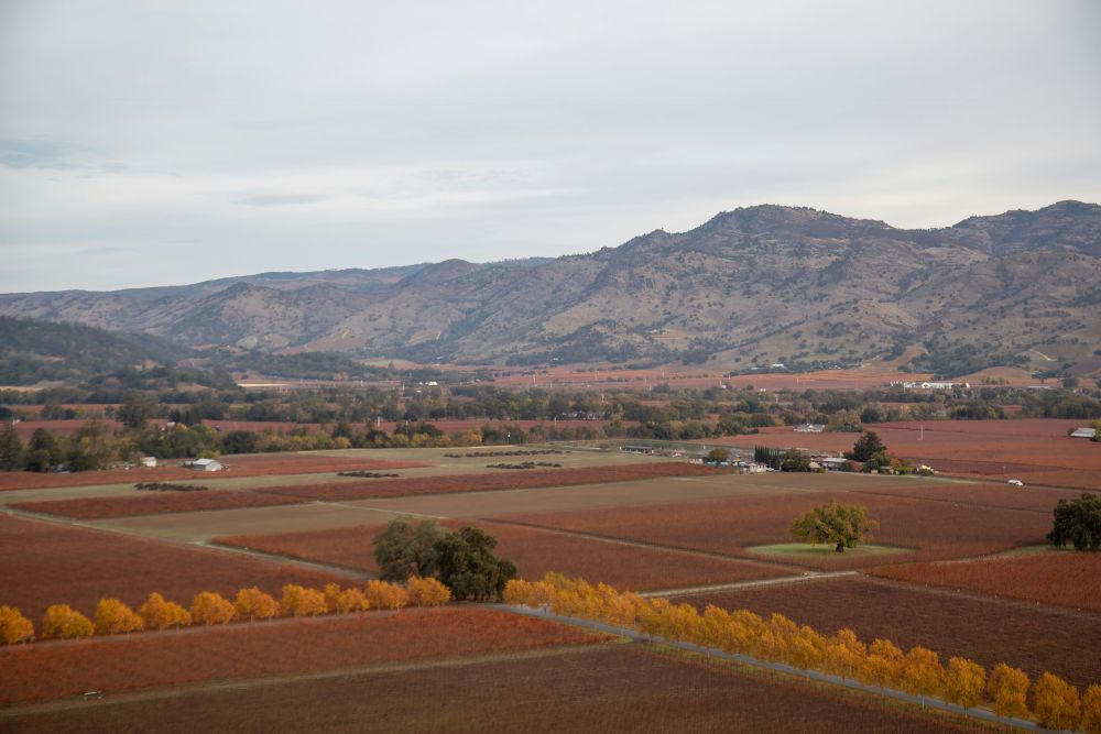 Napa Valley vineyards in October during harvest season, one of the best places to travel in October for wine and luxury travel