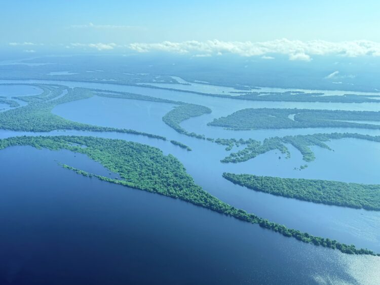 Aerial view of Amazon rainforest waterways near Novo Airão, Brazil